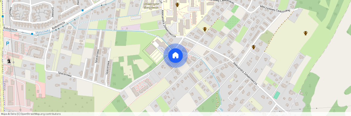 ul. Aleksandra Zelwerowicza, Zalesie, Rzeszów, podkarpackie