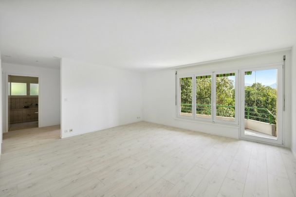 APPARTEMENT À LOUER DANS QUARTIER TRÈS ENSOLEILLÉ ET FAMILIAL - Photo 1