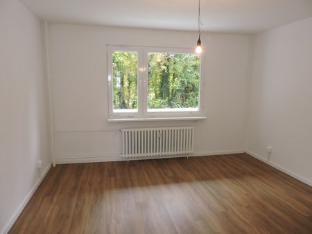 Geplegte drei Zimmer Wohnung sucht neue Mieter! Frei zum 01.12.2024! - Foto 5