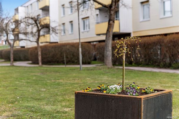 Höstvägen 18 F - Photo 1