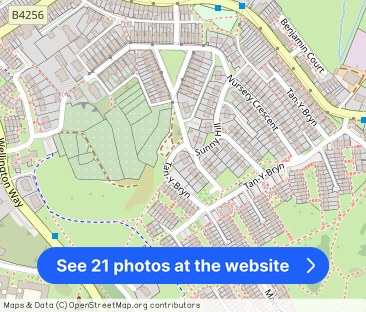 Brynhyfryd, FERNDALE - Photo 1