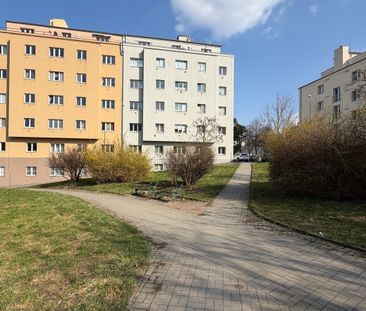 Pronájem bytu 2+kk v osobním vlastnictví 41 m², Praha 6 - Břevnov - Photo 6