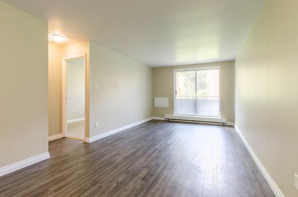 Tillson Apts 1 - ALL INCLUSIVE - Photo 1