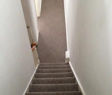 2 bedroom ground floor maisonette to rent - Photo 4