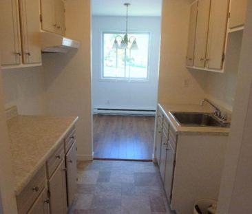 4 1/2 Chauffé/Éclairé, Décembre, Lévis secteur Desjardins, UQAR, CFP - Photo 2