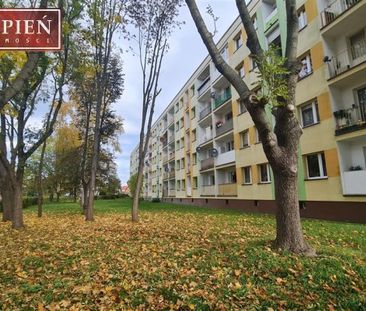 Jelenia Góra, Zabobrze - Фото 5