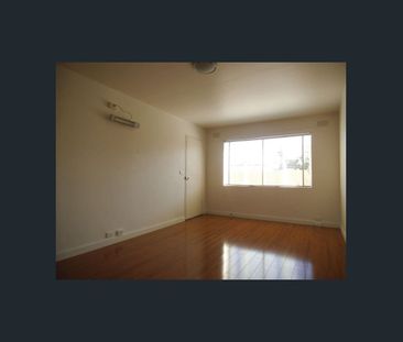 Immaculate Condition - Photo 1