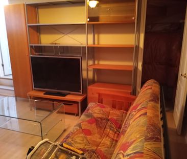 For Lease - 257 Anthony Avenue Unit# Lower, Mississauga, Ontario - Photo 6