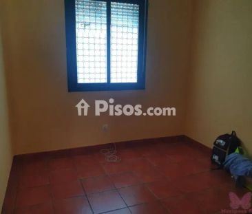 Apartamento en alquiler en Calle Residencial Aldea del Coto - Foto 4