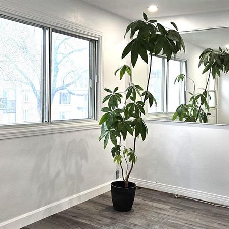Montréal – Logement 4 1/2 rénové à louer - Photo 4