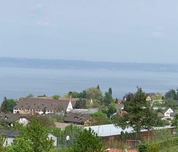 Charming 3-room penthouse apartment with lake view & two balconies - Photo 6