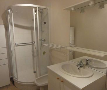 Location Appartement 1 pièce 32m² LE CREUSOT 71200 - Photo 3