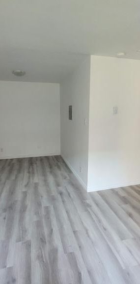 1 CH - 1 SDB - Montréal - $950 /mo - Photo 1
