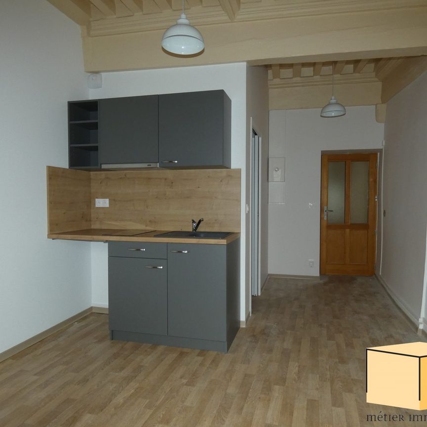 Location Appartement 1 pièce 21m² BELLEY 01300 - Photo 1