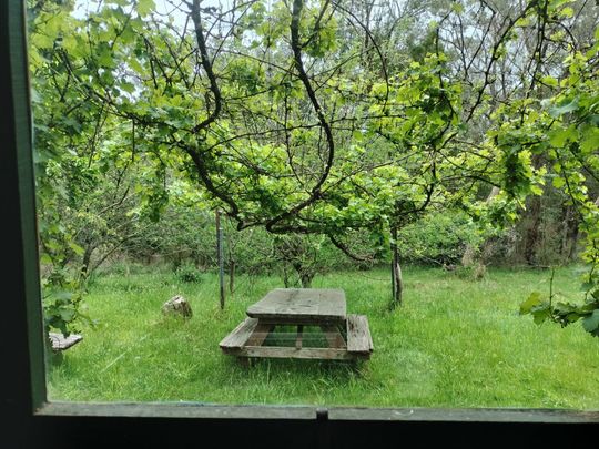 Belgrave South - Photo 1