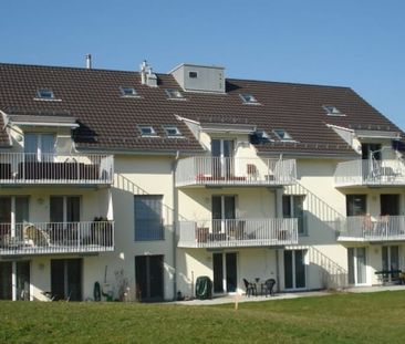 3.5 Zimmer, 146 m² - Photo 5
