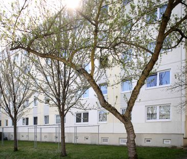 Neues Zuhause gesucht und gefunden in der Oststadt! - Foto 1