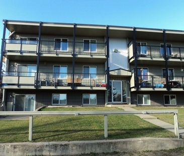 103, 6727 - 59 Ave - Photo 5