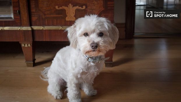 Room in shared 4-bed apt for rent in Rathmichael, Dublin - Photo 1