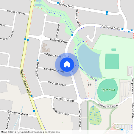 136 Diamond Drive, Orange