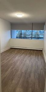 Pet Friendly 1BR/1BA in Burnaby. Spacious, Near SFU, Skytrain, Mall - Photo 3