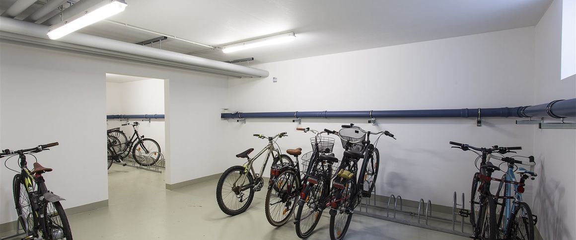 Familienwohnung mit Terrasse und Gartenanteil in Karow - Photo 1