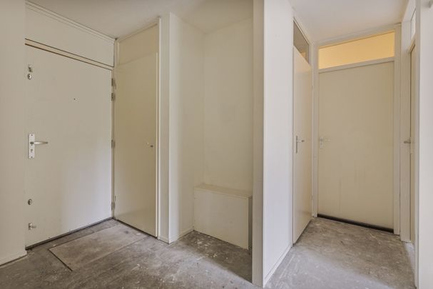 Te huur: Hoge Filterweg 152 - Photo 1