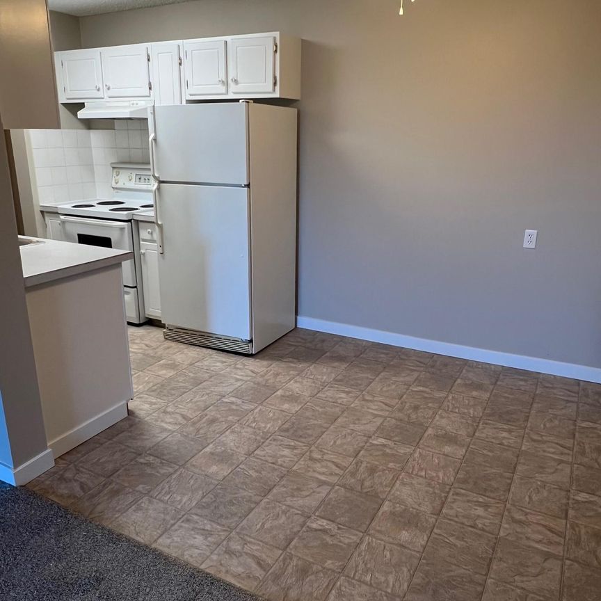 Spacious 2 Bedroom Cat Friendly Suite in Clearview! - Photo 1