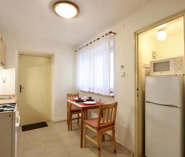 Pronájem bytu 1+1 v rodinném domě, Brno - Královo Pole, ul. Myslíno... - Fotografie 2