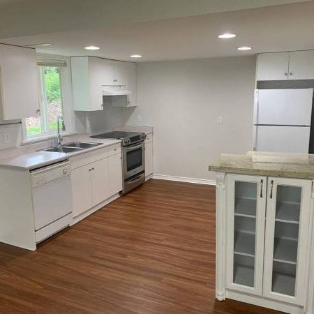 Garden Level Suite- Patio-Yard Access-Bright Spacious - Photo 4