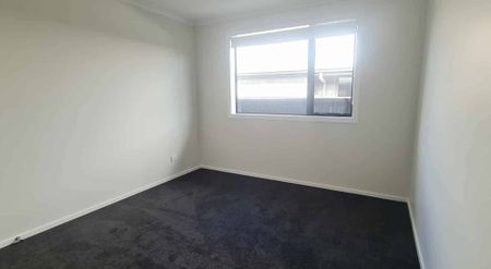 New Build Rental Opportunity in Lockerbie - Photo 3