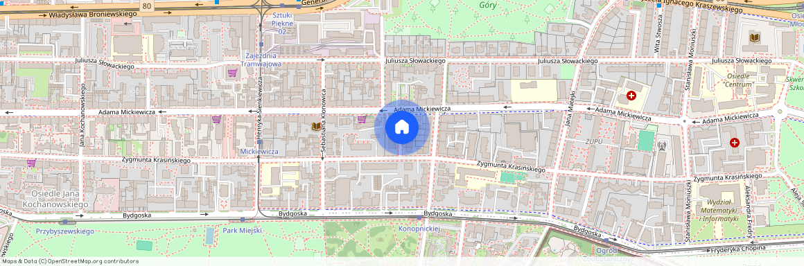 Przedmieście Bydgoskie, Władysława Reymonta, Toruń