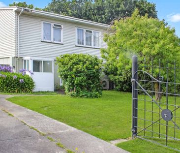Sunny Three Bedroom Two Storey House - Photo 3