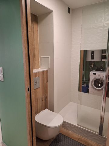 Location Appartement 1 pièce 23m² - Photo 4