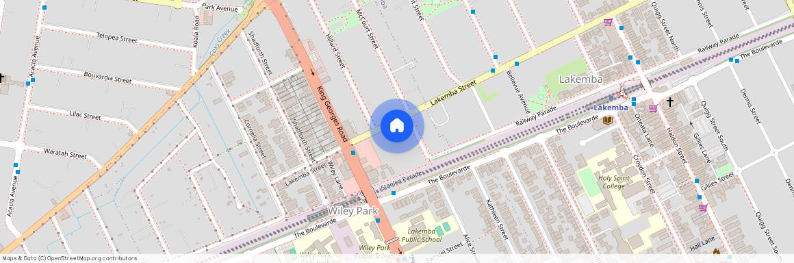 270 Lakemba Street, Wiley Park NSW 2195