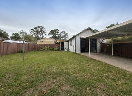 27 Kentucky Road, Riverwood NSW 2210 - House For Rent | Domain - Photo 2