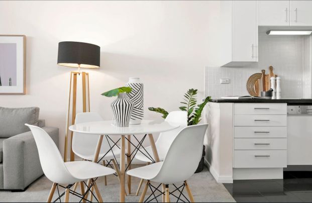 Beautiful 2 Bedroom Apartment in the Heart of Waterloo - Photo 1