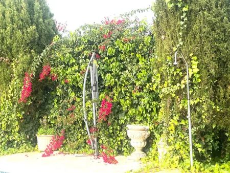 Alquiler de casa o chalet independiente en Calle de Alhaurín el Grande, 100 - Photo 5