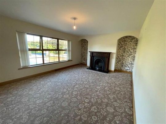 15 Gowdystown Rd, Banbridge, BT32 4HH - Photo 1