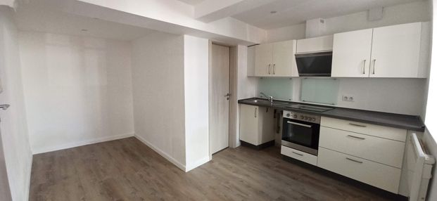 Location Appartement 1 pièce 16m² WISSEMBOURG 67160 - Photo 1