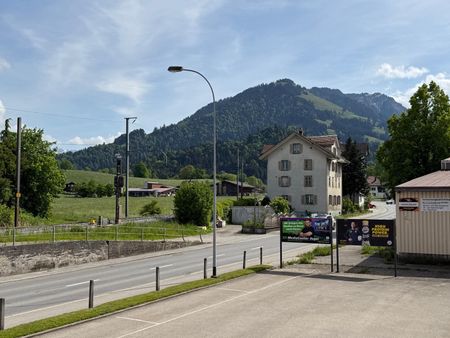 4.5 Zi.Wg, sonnig und hell, vis a vis Mühlipark - Photo 5