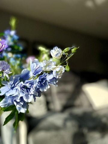 Huis te huur: Aletta Jacobshoeve 12 2743 JA Waddinxveen - Photo 3