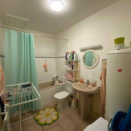 Location appartement 2 pièces 37.19 m² à Sainte-Colombe (69560) 4 - Photo 4