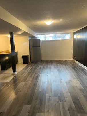 For Lease - 192 Silverbirch Drive Unit# Basement, Newmarket, Ontario - Photo 1