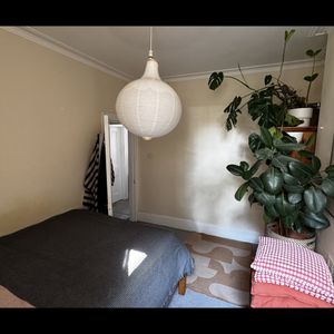 Room in a Shared Flat, Hargrave Mansions, N19 - Photo 2