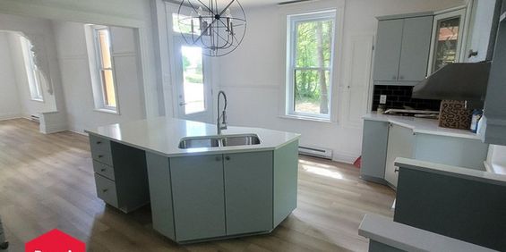 Appartement Pont-Viau (Laval) À Louer - Photo 3