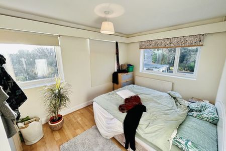 Derby Road - Photo 5