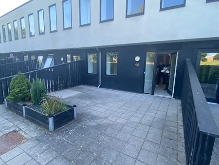 Stor, flot og moderne 4 værelses lejlighed er til leje nu i Ørum - Foto 3
