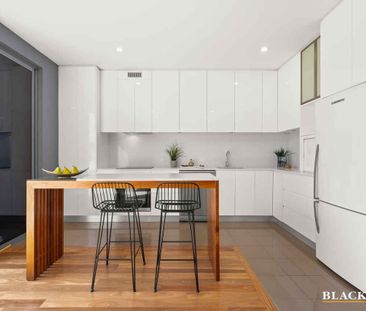 Single-Level Sophistication with Courtyard Elegance - Photo 3