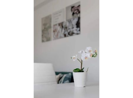 Avenida do Brasil, Amadora, Lisbon 2700-133 - Photo 2